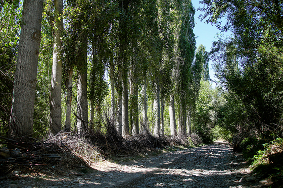 روستای گردشگری یدک