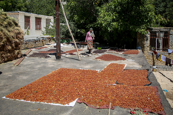 روستای گردشگری یدک