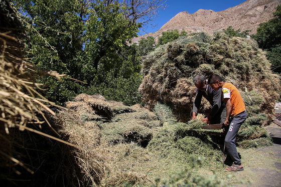 روستای گردشگری یدک
