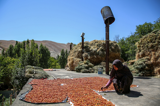 روستای گردشگری یدک