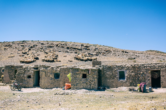 عشایر