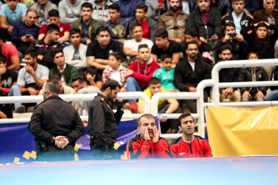 لیگ برتر کشتی آزاد