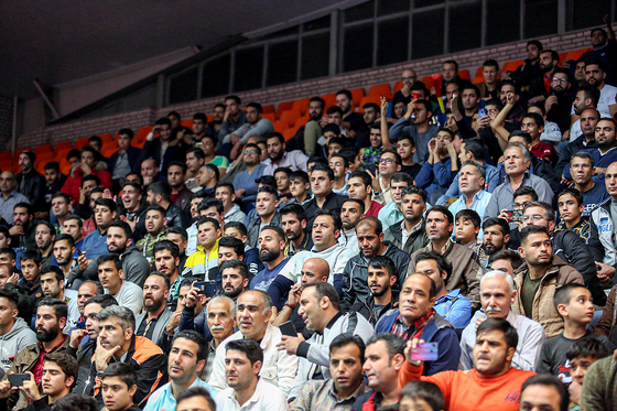 لیگ برتر کشتی آزاد
