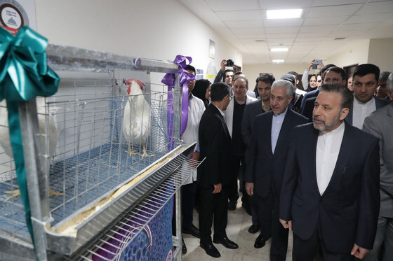 بازدید رییس دفتر رییس جمهوری از دانشگاه فردوسی مشهد