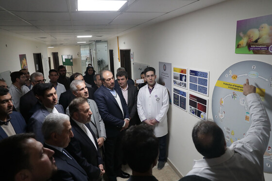 بازدید رییس دفتر رییس جمهوری از دانشگاه فردوسی مشهد