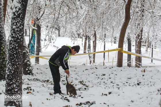 بارش اولین برف زمستانی مشهد