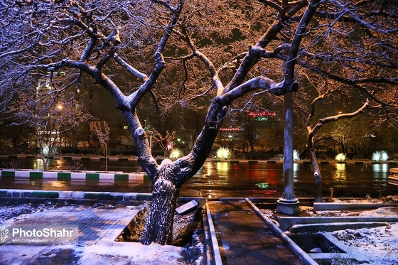 سپید پوشی مشهد با برف بهاری