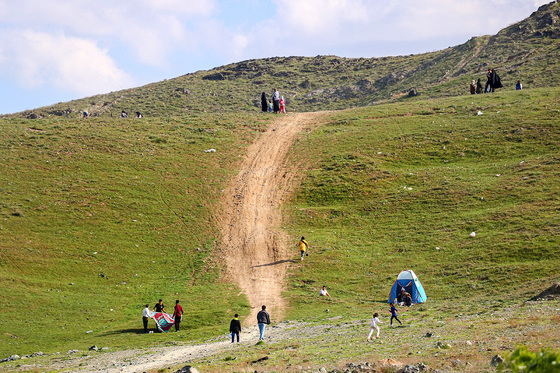 پیک نیک با کرونا 