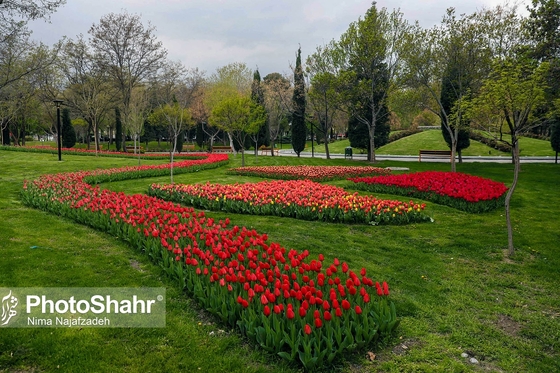 عکس‌های منتخب نیمه دوم فروردین 99