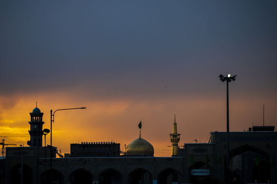 تک عکس روز