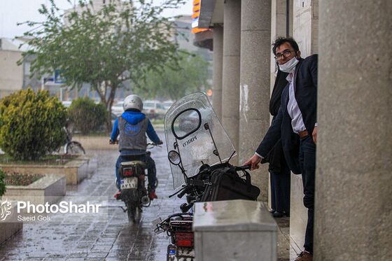 سقوط درختان در پی طوفان و بارش باران