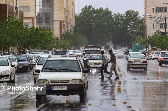 سقوط درختان در پی طوفان و بارش باران