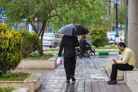بارش باران بهاری در مشهد