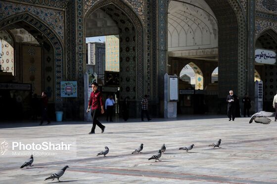 بازگشایی حرم مطهر رضوی