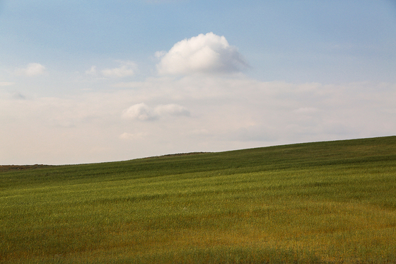 طبیعت «چشمه پونه»