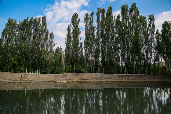 طبیعت «چشمه پونه»