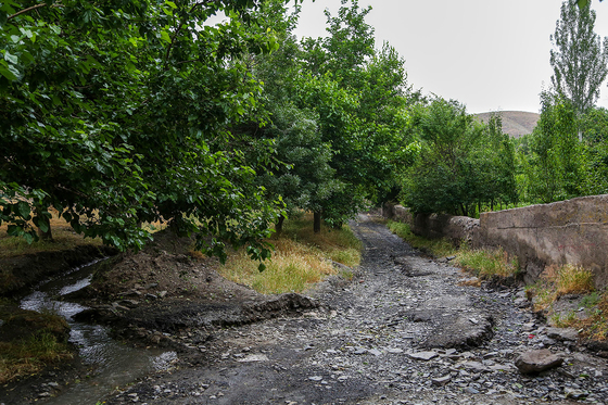 طبیعت «چشمه پونه»