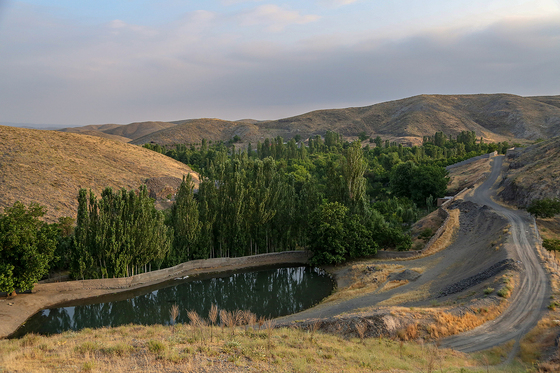 طبیعت «چشمه پونه»