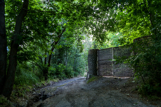 طبیعت «چشمه پونه»