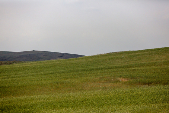 طبیعت «چشمه پونه»