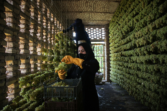 خلیل‌آباد شهر تاکستان‌ها
