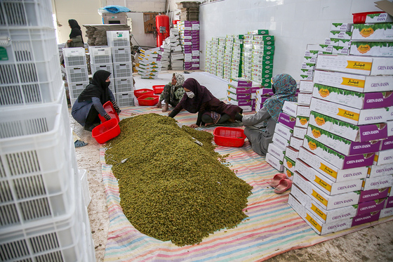 خلیل‌آباد شهر تاکستان‌ها