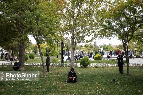آرامگاه فردوسی در انتظار پیکر استاد شجریان