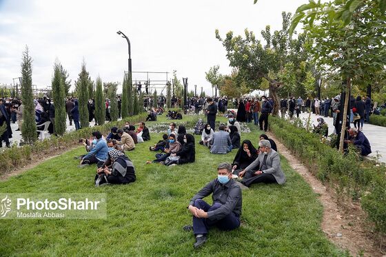 سیل جمعیت دوست‌داران استاد شجریان در آرامگاه فردوسی