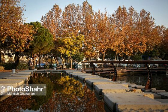 طبیعت پاییزی بوستان ملت و وکیل آباد