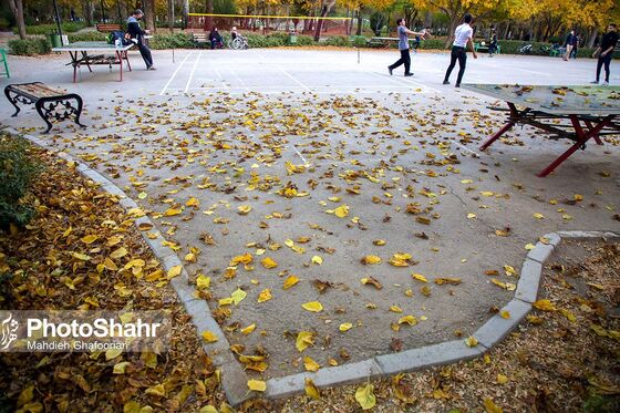 طبیعت پاییزی بوستان ملت و وکیل آباد