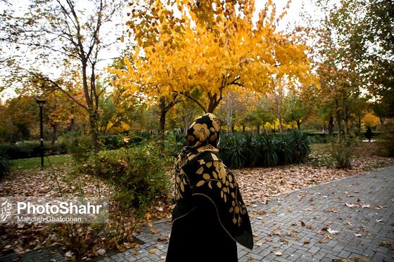 طبیعت پاییزی بوستان ملت و وکیل آباد