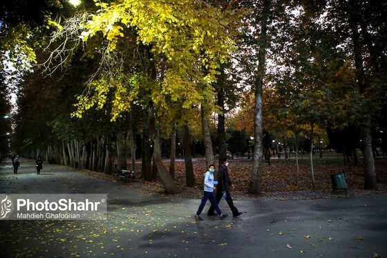طبیعت پاییزی بوستان ملت و وکیل آباد