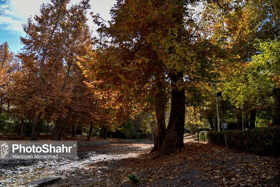 طبیعت پاییزی بوستان ملت و وکیل آباد