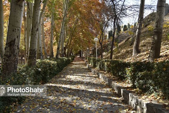 طبیعت پاییزی بوستان ملت و وکیل آباد