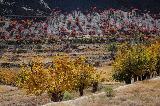 طبیعت روستای خانیک