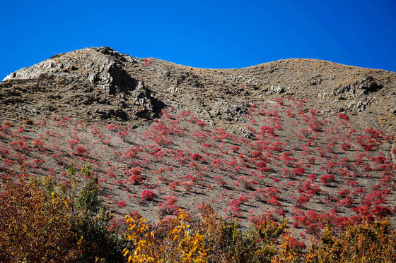 طبیعت روستای خانیک