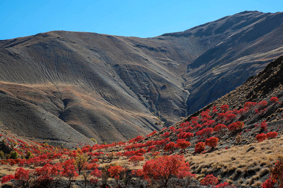 طبیعت روستای خانیک