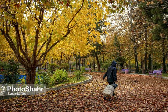 پرسه در پاییز