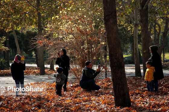 پرسه در پاییز