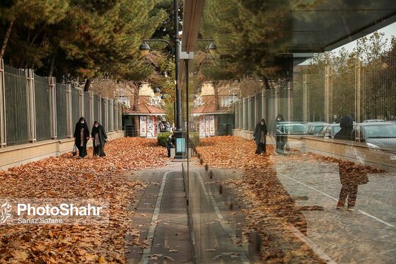پرسه در پاییز