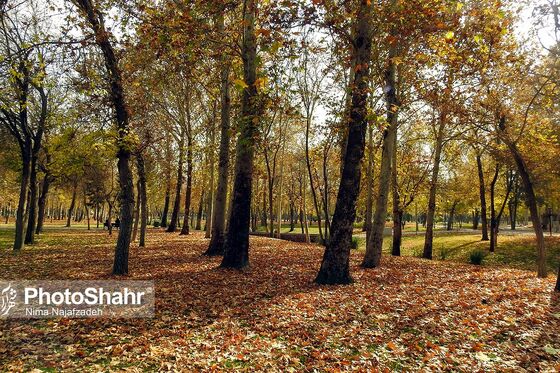 پرسه در پاییز