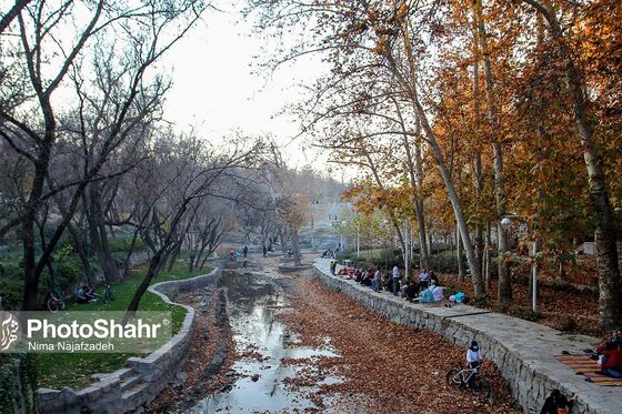 پرسه در پاییز
