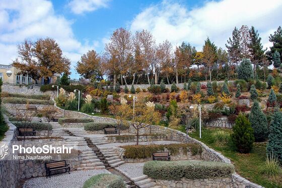 پرسه در پاییز