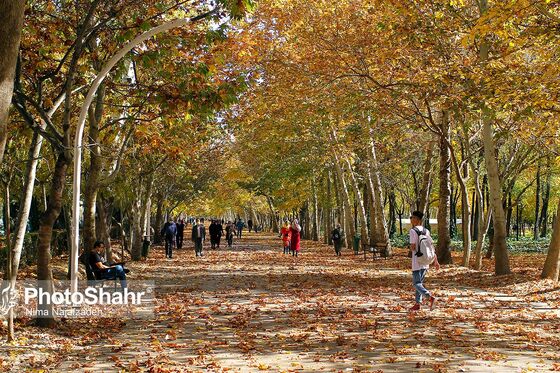 پرسه در پاییز