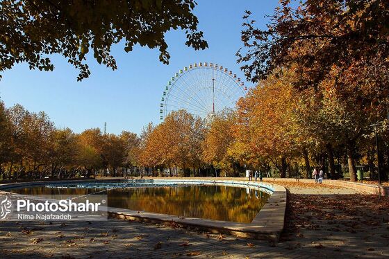 پرسه در پاییز