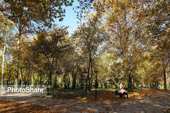 پرسه در پاییز
