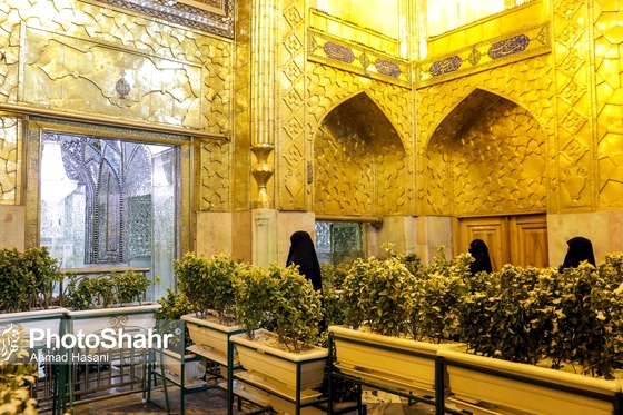 شب برفی مشهد