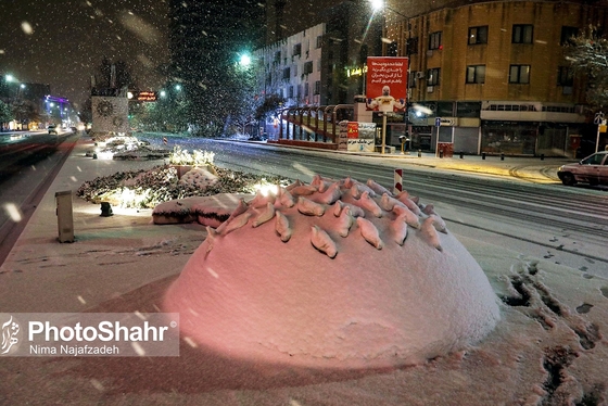 شب برفی مشهد