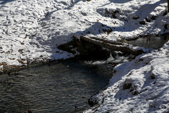 طبیعت زمستانی گلمکان