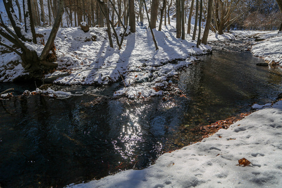 طبیعت زمستانی گلمکان